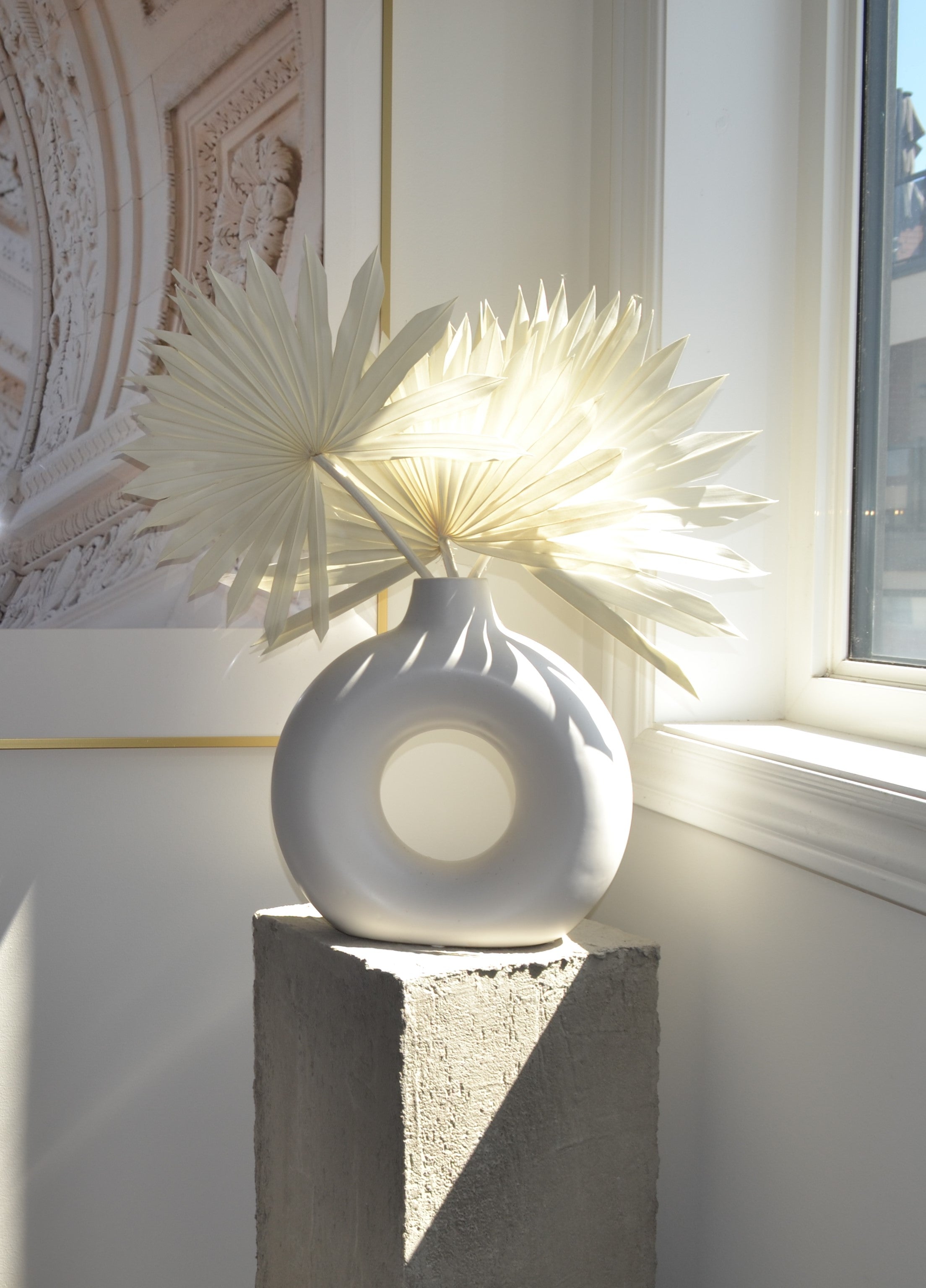 PRESERVED SUN FAN PALM LEAF